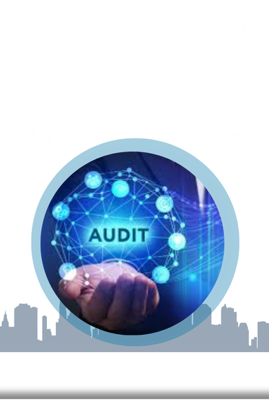IS Audit Services